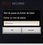 saisi_password.png