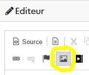 Ninegate Annonces éditeur